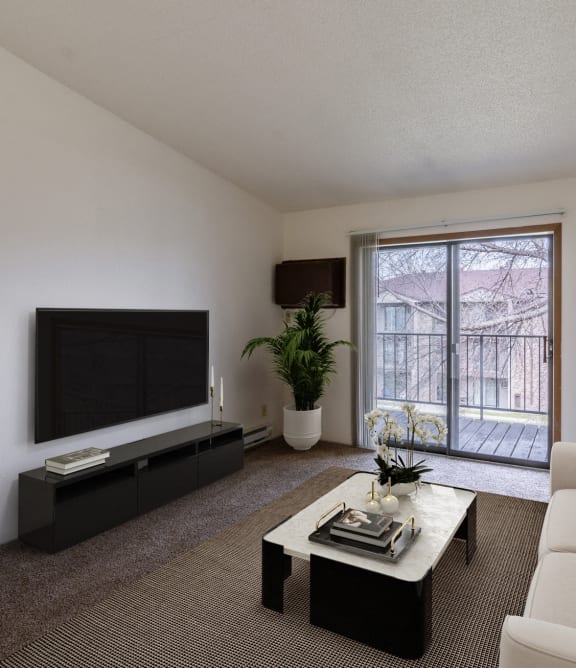 a living room with a couch and a coffee table and a television