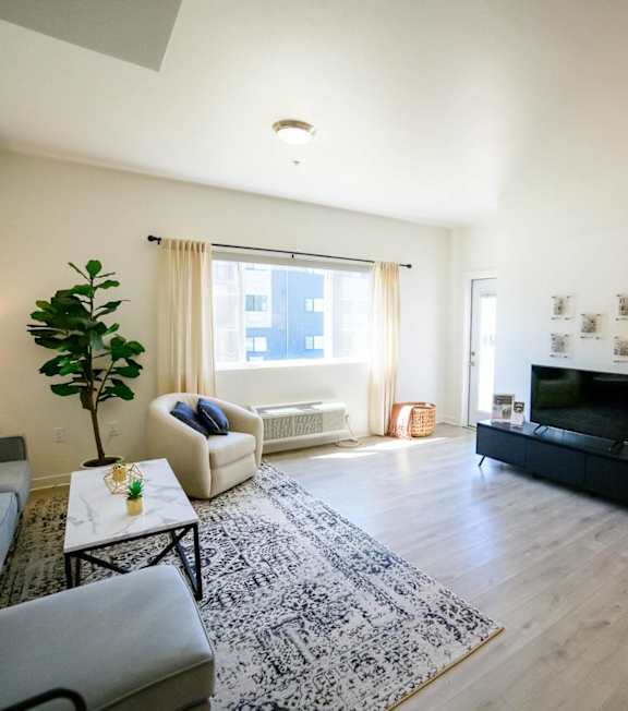 A living room with a grey sofa, a black couch, a white armchair, a coffee table, a rug, a TV, a fireplace, and a potted plant.