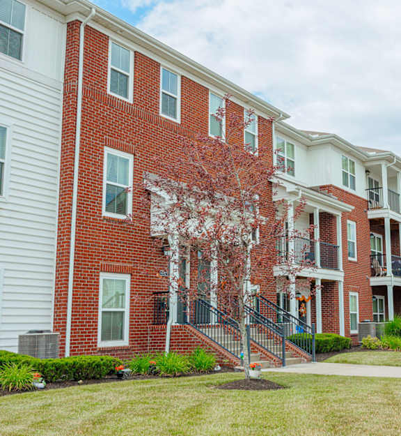 our apartments are located in the heart