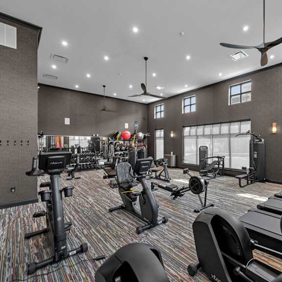 A gym with treadmills, elliptical machines, and other exercise equipment.
