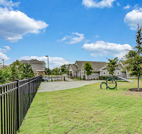 a dog in a field at Avellan Springs Apartments in Morrisville, NC 27560