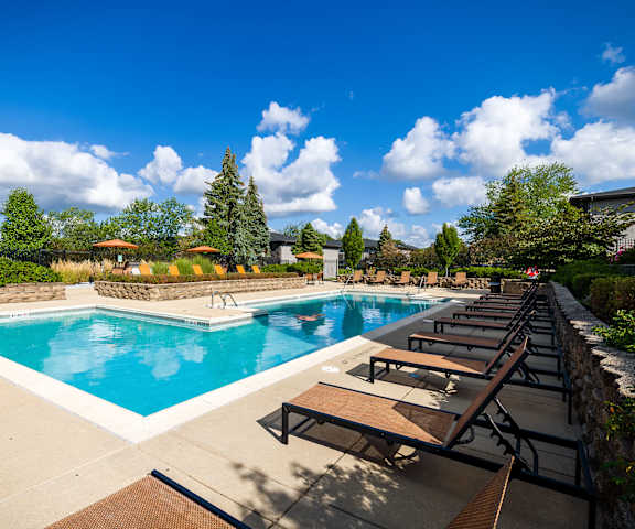 A large outdoor swimming pool surrounded by sun loungers and trees.