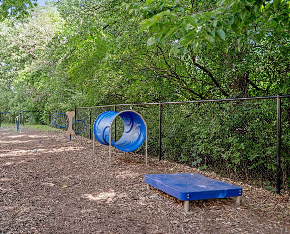 Dog Park