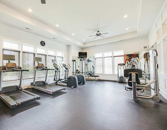 the gym has plenty of cardio equipment and windows