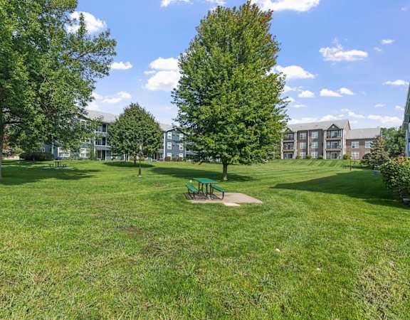 A park with a grassy area, trees, and a bench.
