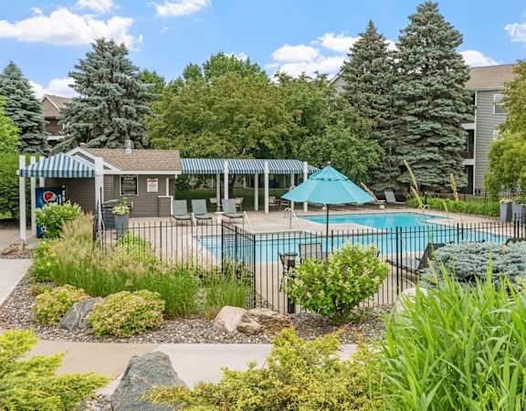 A pool surrounded by green plants and trees.