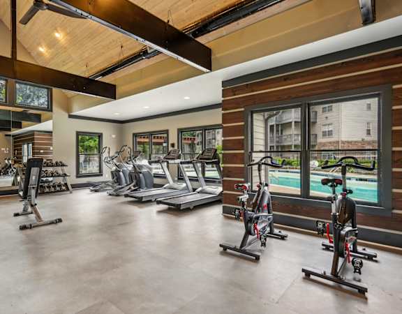 A gym with a row of exercise bikes and a treadmill.