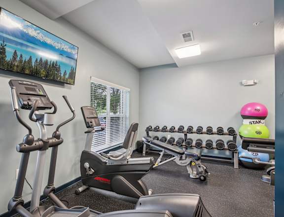 A gym with a row of dumbbells and a treadmill.