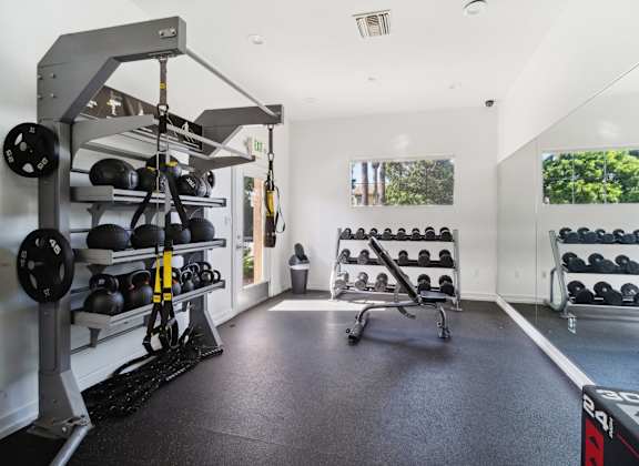 a gym with weights and mirrors on the wall