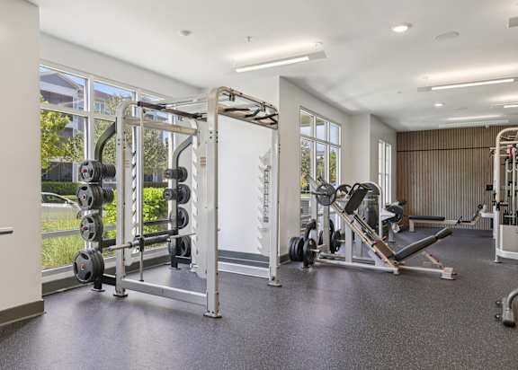 A gym with a variety of equipment including a squat rack, bench press, and a leg press machine.