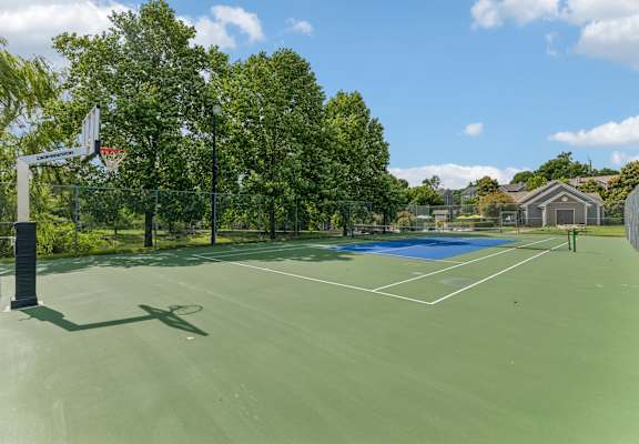 A basketball & tennis court is surrounded by trees and has a blue court in the middle.