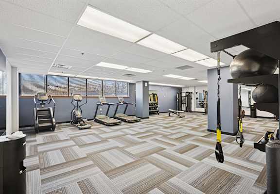 A gym with a variety of equipment including a weight rack and a rowing machine.