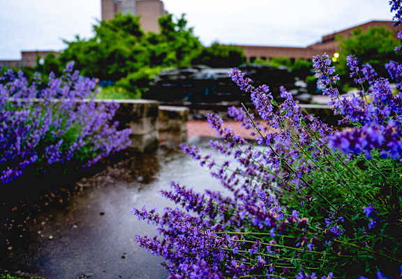 Kent lavender View at Woodland Pointe Apartments and Townhomes, Integrity Realty, Kent, 44240