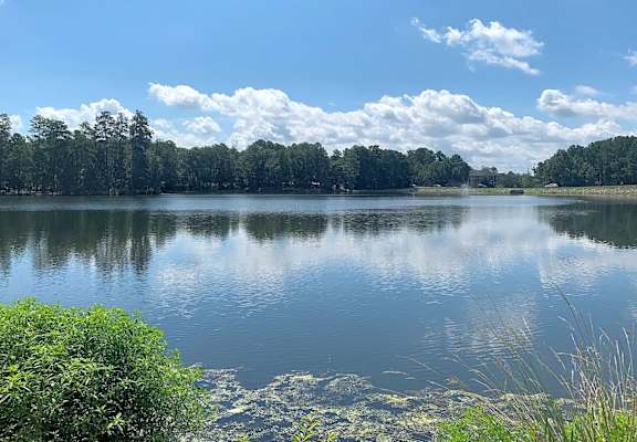 A serene lake surrounded by lush greenery under a clear sky.