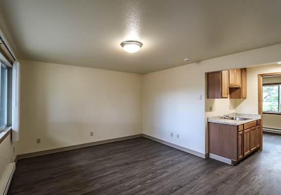 A kitchen area with a sink and cabinets is visible in the image.