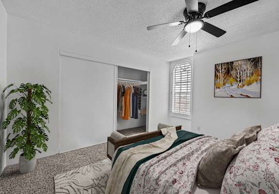 A bedroom with a bed, a ceiling fan, and a plant.