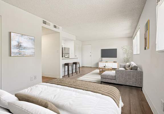 Bright living space with wood-style flooring at Willowstone Apartments, pet-friendly studio and 1–2 bedroom homes.