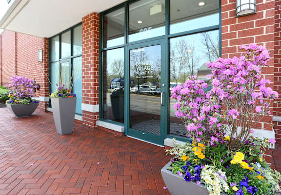 the front of a building with glass doors and flower pots