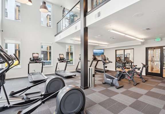 A gym with treadmills, elliptical machines, and a bicycle.
