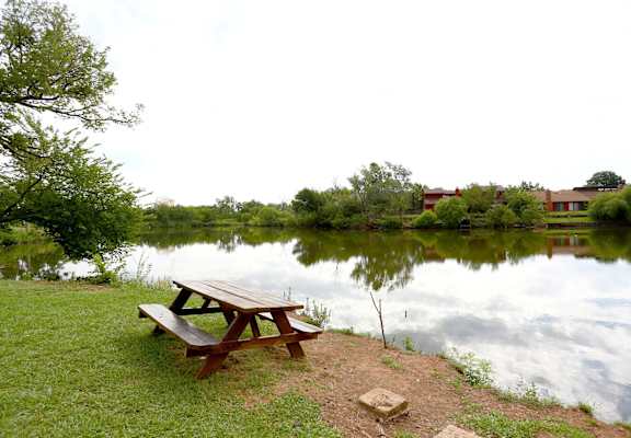 A picnic table sits on the shore of a lake.