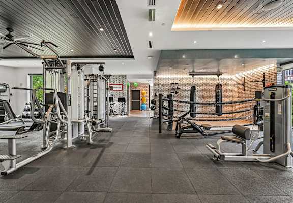 A gym with a variety of equipment including a squat rack, bench press, and a rowing machine.