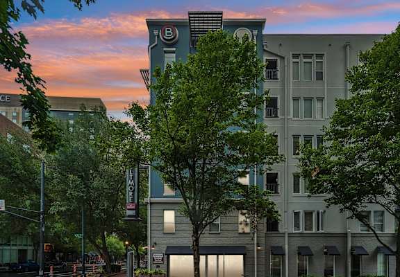 A tree in front of a building with a sign that says "B".