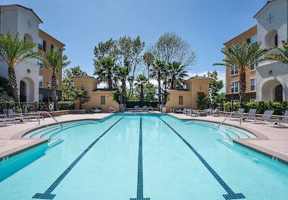 A large swimming pool in front of a building with palm trees.