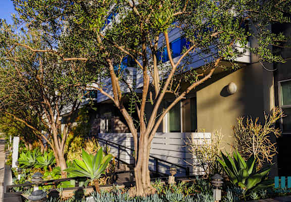 a house with a tree in front of it