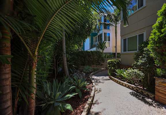 A pathway surrounded by green plants and trees.