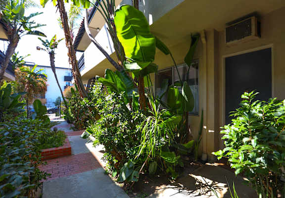 A pathway between two buildings with green plants on the sides.