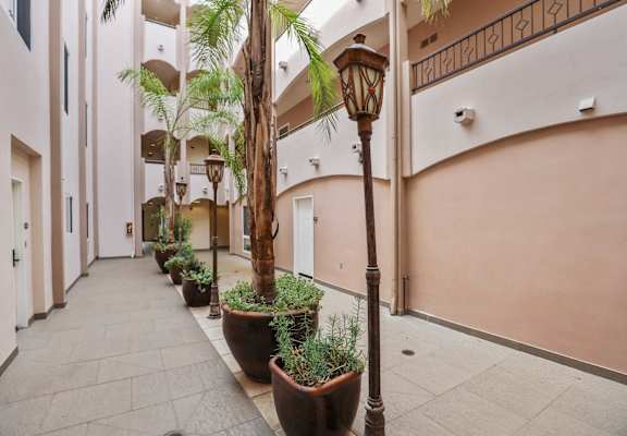 A long hallway with potted plants on the side.