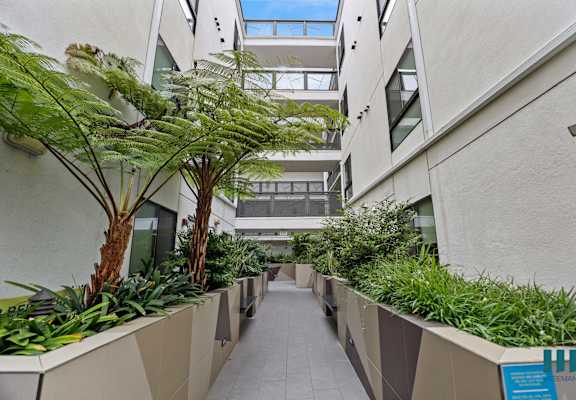 a corridor filled with plants in an office building