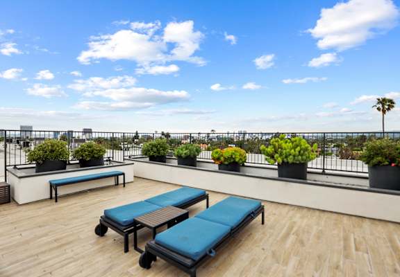 a roof top patio with blue benches and potted plants