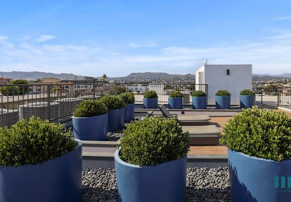 topiary plants on the roof of a building