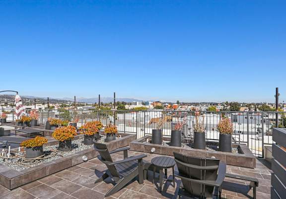 the rooftop terrace at the callaway house austin