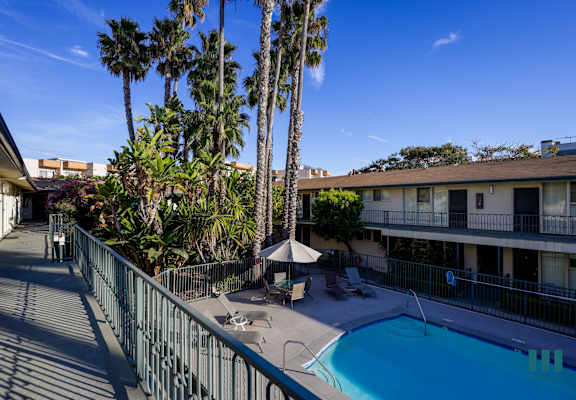A pool surrounded by a fence and palm trees.