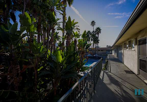 A balcony with a pool and palm trees.