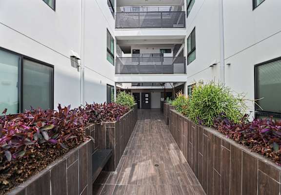 a long corridor with wooden floors and plants in front of a building