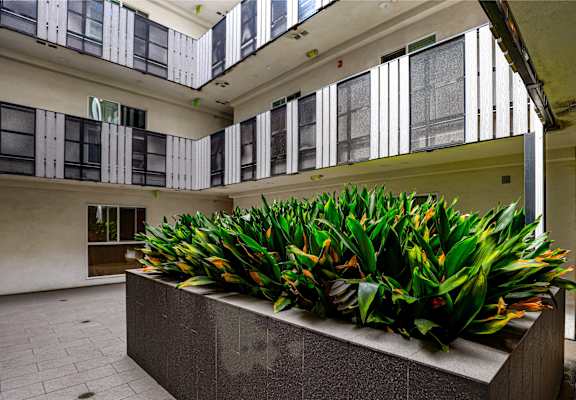 a building with a bunch of plants in therium