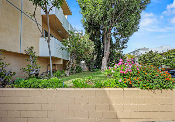 A beige wall with a green bush in front of a building.