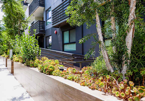 a retaining wall with plants in front of a building