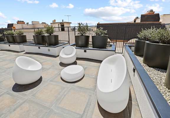 a group of urinals and plants on a roof