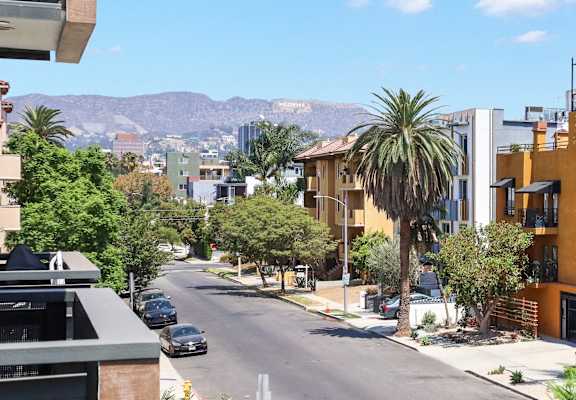 a view of a street in a city with a palm tree