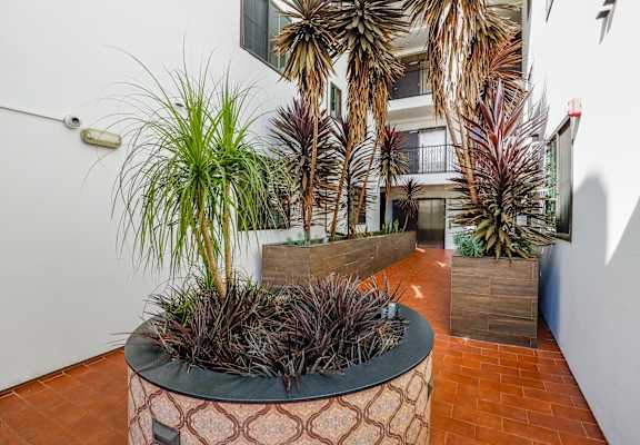 a courtyard with plants in front of a building