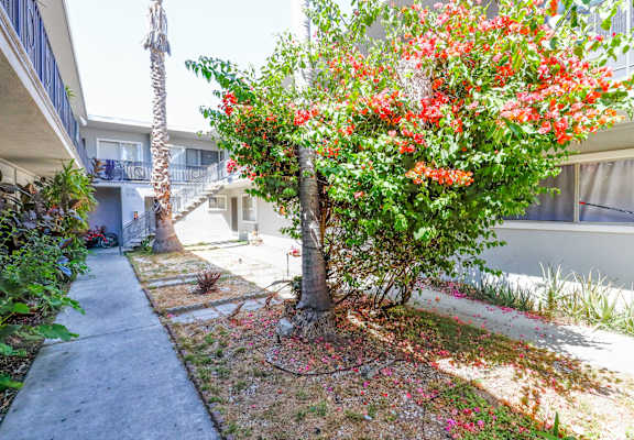 A tree with red flowers is in the middle of a concrete walkway.