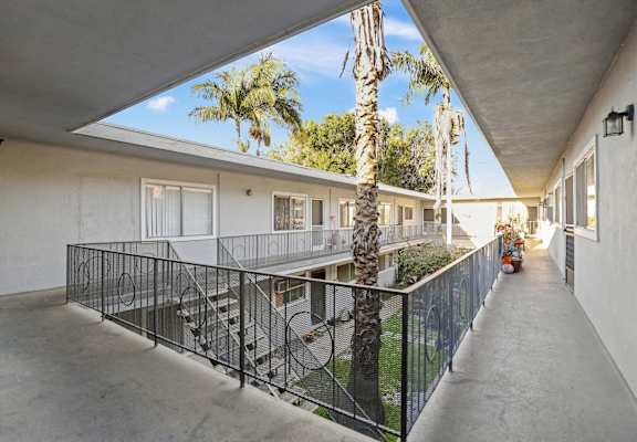 A patio with a black railing and a palm tree.