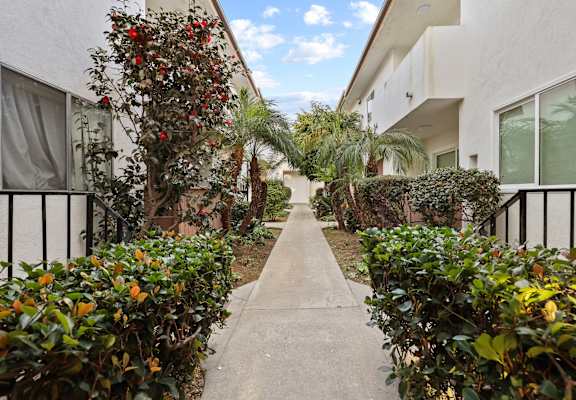 A narrow pathway between two buildings with green plants on the sides.