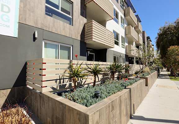 a row of apartments with a sidewalk and plants in front of them