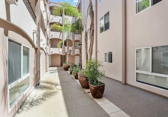 A long hallway with potted plants on either side.