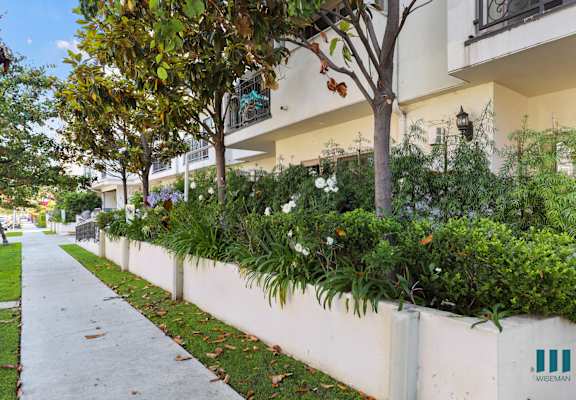 a white wall with plants in front of a building